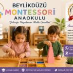 Beylikdüzü Montessori Anasev Anaokulu
