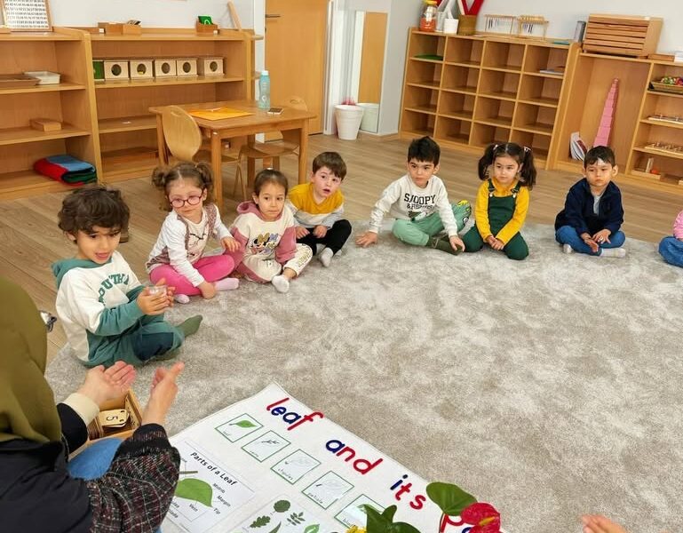 Bilge Çocuk Montessori Kreş Gündüz Bakımevi